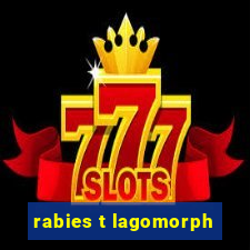 rabies t lagomorph